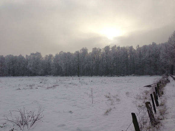 Winter Field (natural)