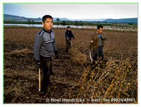 Job: Provamel Soy in China, Sep 2010