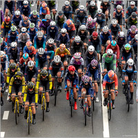 Sports: Scheldeprijs 2024 Women Cycling