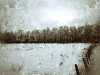 Winter Field (Grunge Snapseed)