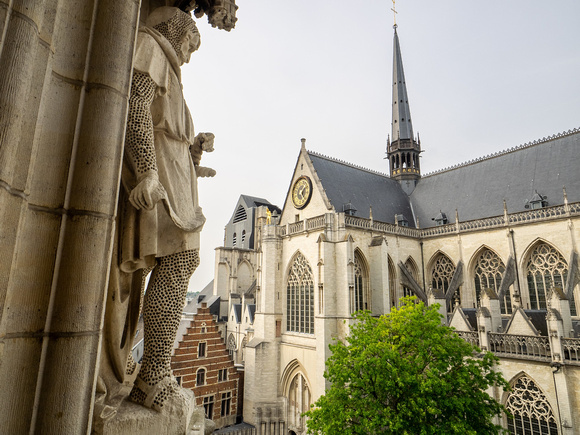 Leuven Sint-Pieter from City Hall