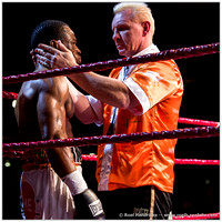 Sports: Antwerp Boxing Gala, Nov 2014