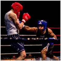 Sports: Amateur Fights Antwerp Boxing Gala, Nov 2014