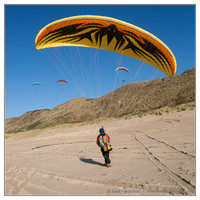 Sports: Paragliding Dishoek, Nov 2012