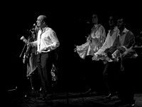 Concert: Balie Revue, Oct 2008